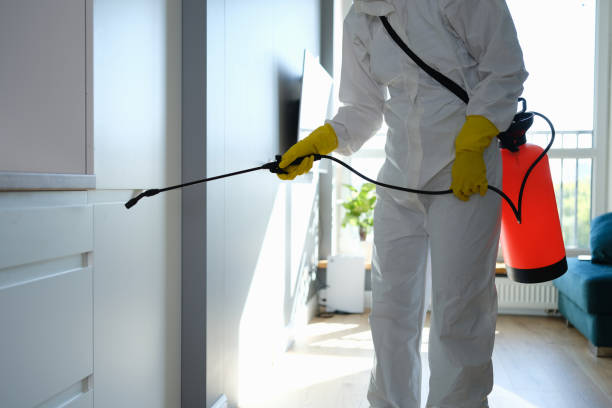Best Commercial Mold Removal  in Scottsville, KY