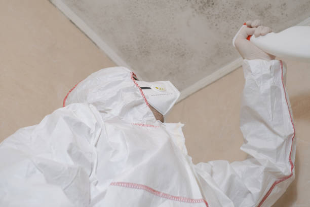 Best Certified Mold Removal  in Scottsville, KY