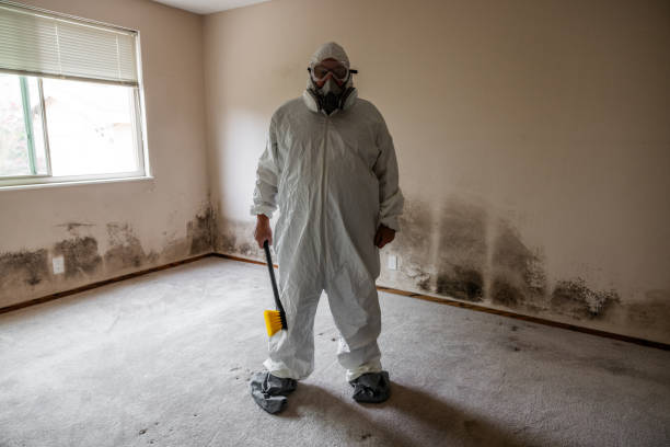 Best Toxic Mold Removal  in Scottsville, KY